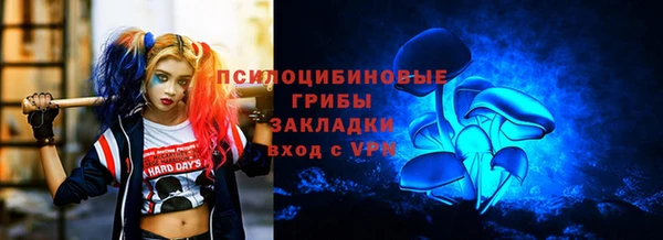 эйфоретик Тайга