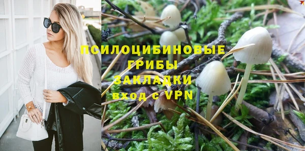 2c-b Балабаново