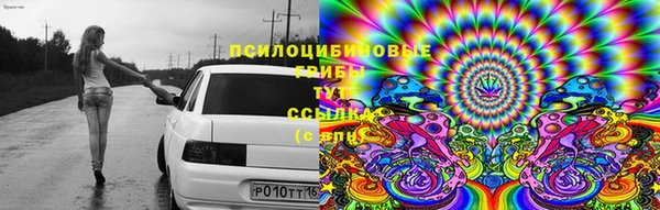 2c-b Балабаново